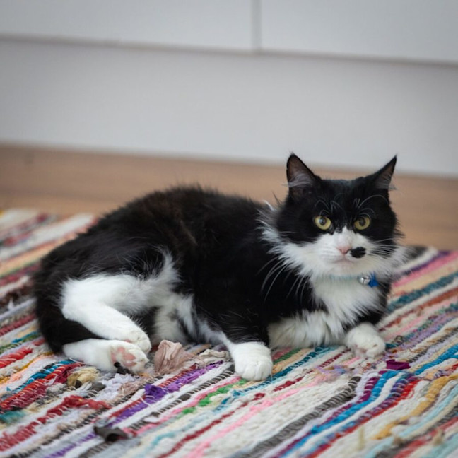 Photo of Ella