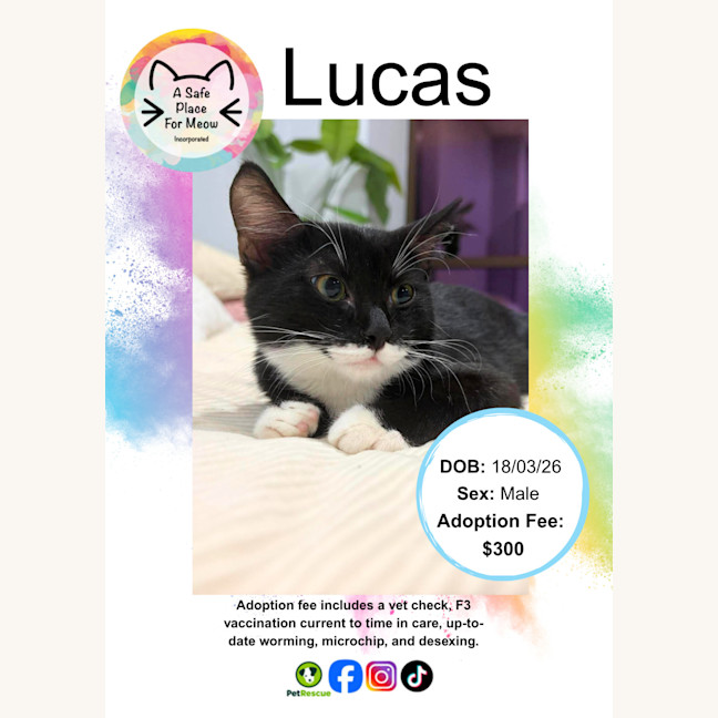 Photo of Lucas