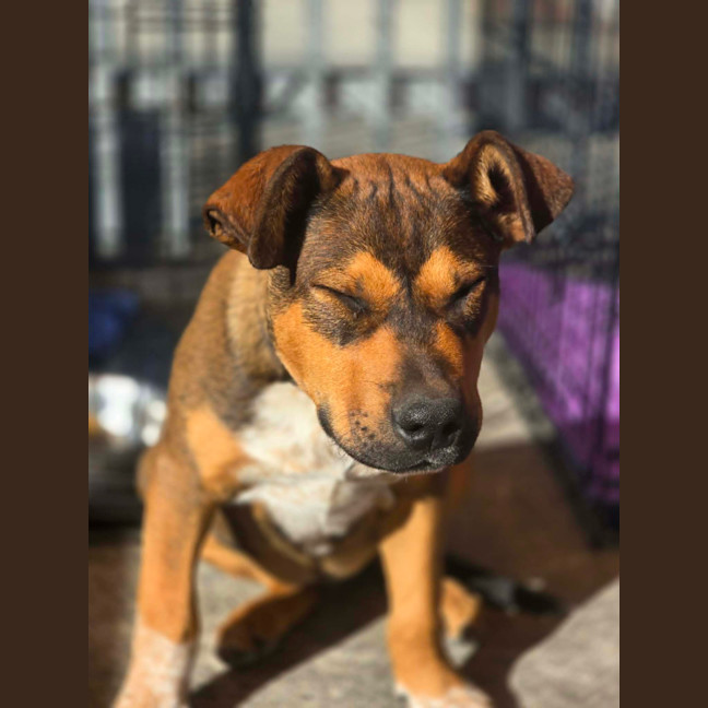 Photo of Prada