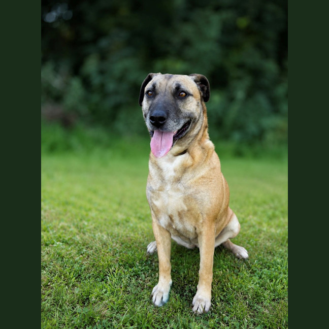 Photo of Margo