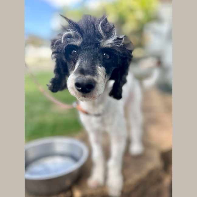 Photo of Molly