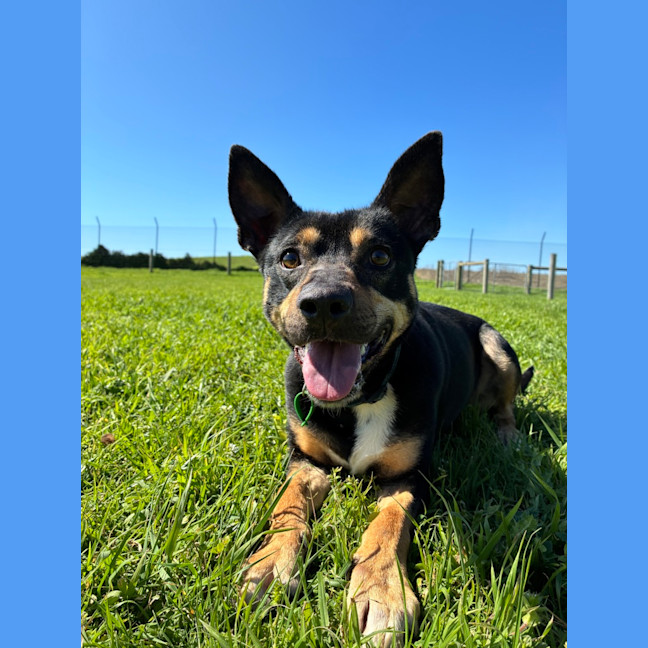 Photo of Cassie