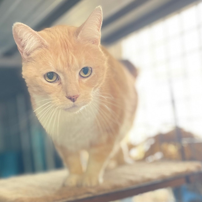 Photo of Squeek