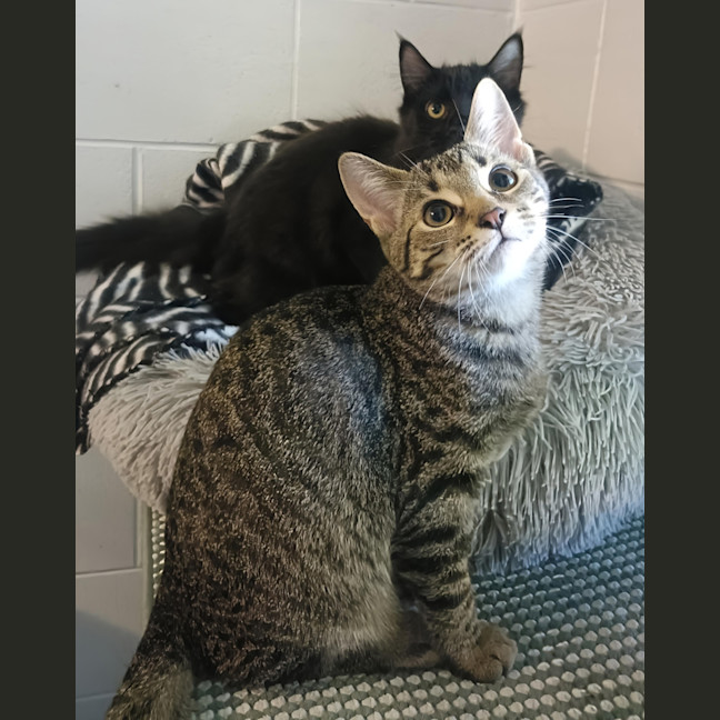 Photo of Smooch