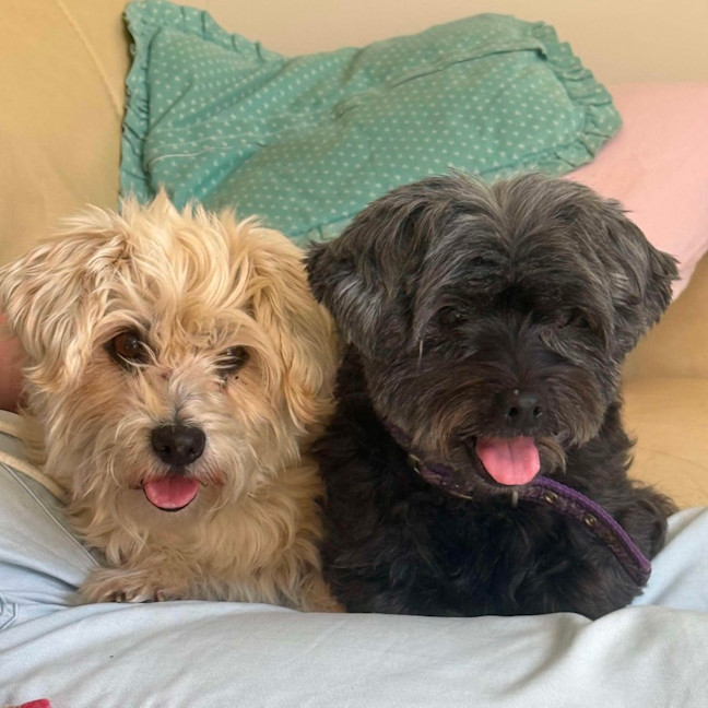 Photo of Missy & Middy