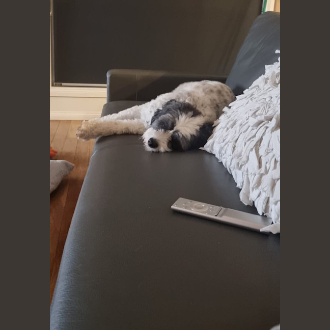 Photo of Wally