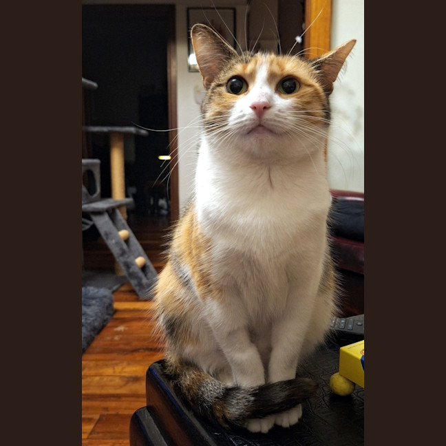 Photo of Samantha Sta014309