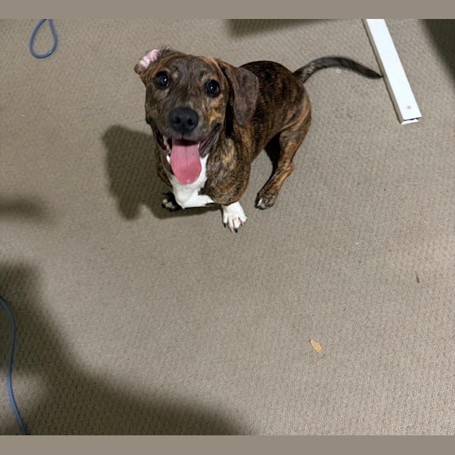 Photo of Willow Cervantes