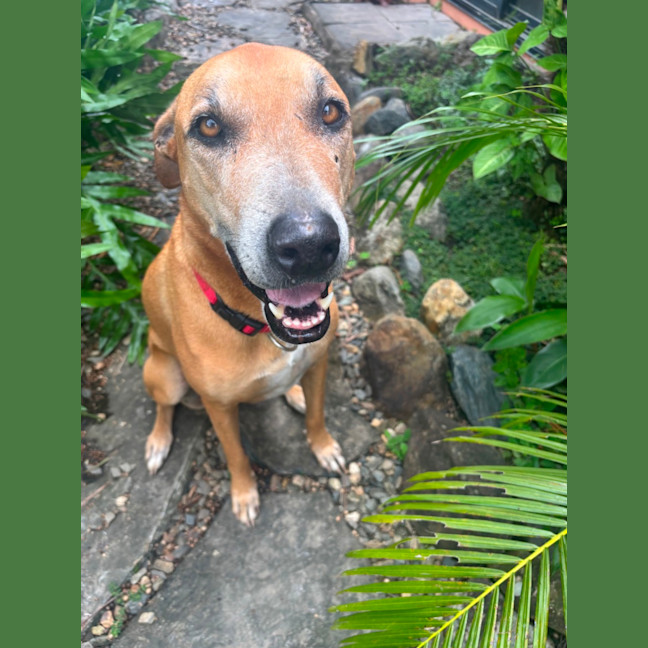 Photo of Delilah