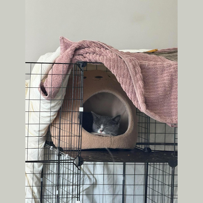Photo of Gus