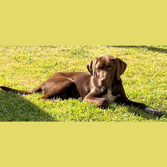 Photo of Boone
