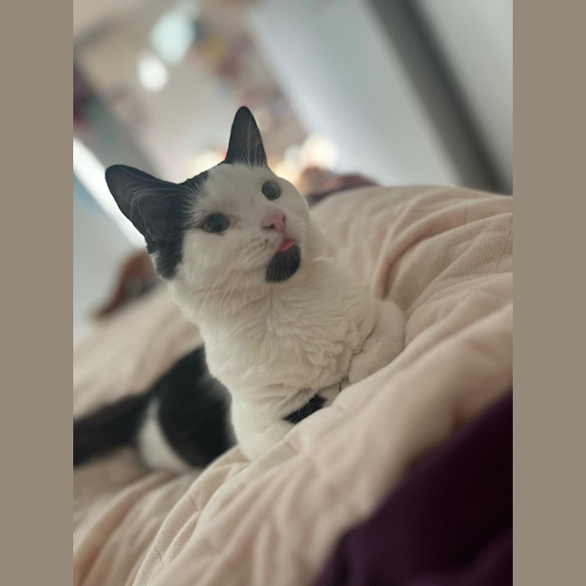 Photo of Mr Fancy Pants