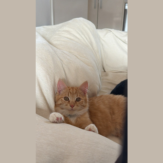 Photo of Mavi