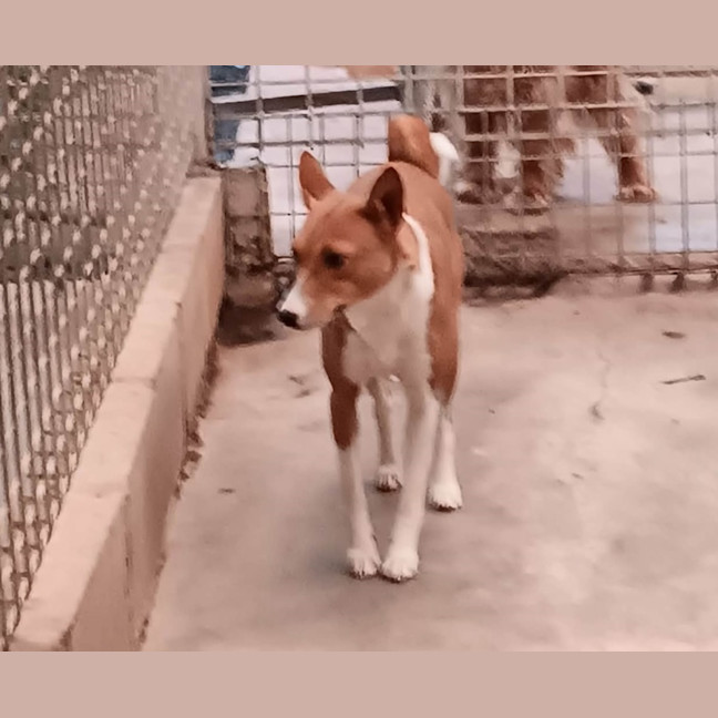 Photo of Shilo