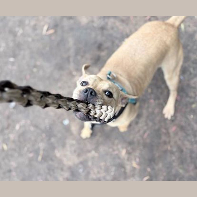 Photo of Calypso