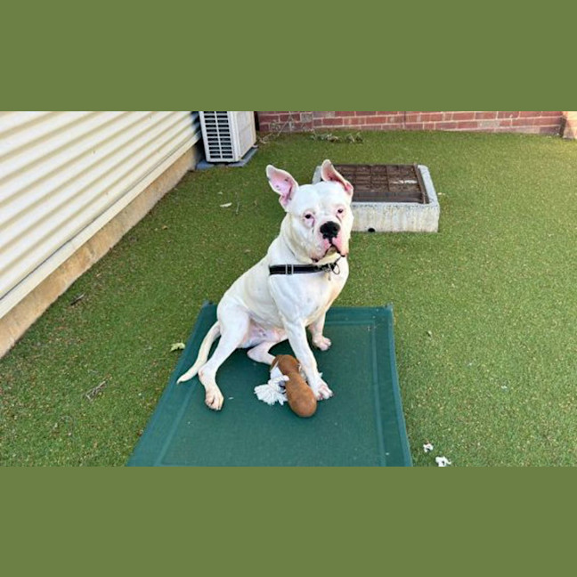 Photo of Charlie