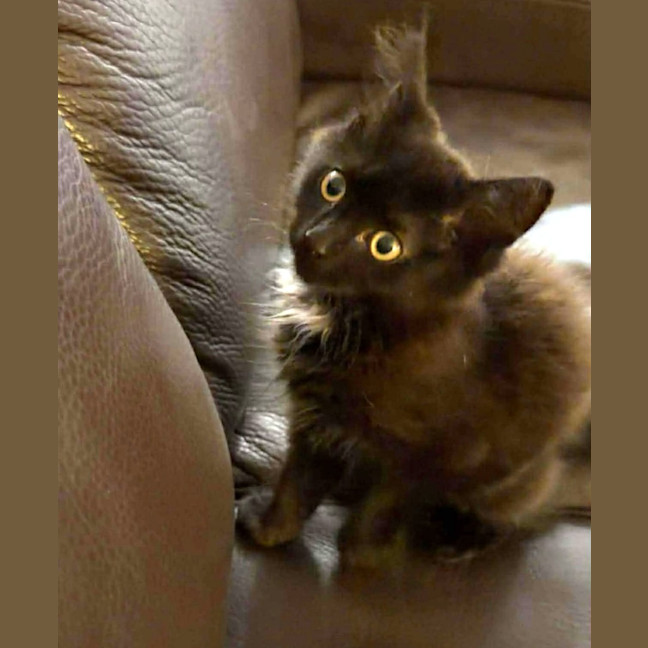 Photo of 💜 Winnie 💜