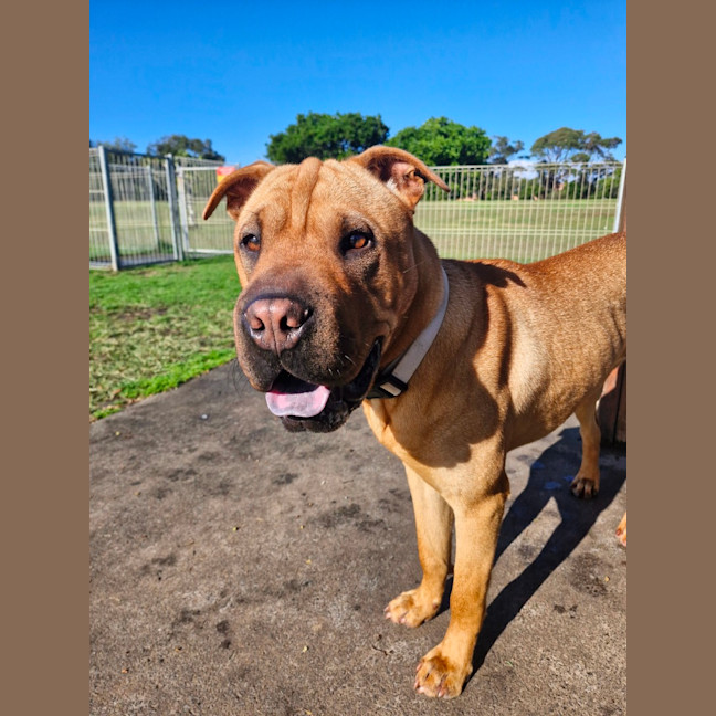 Photo of Wilma
