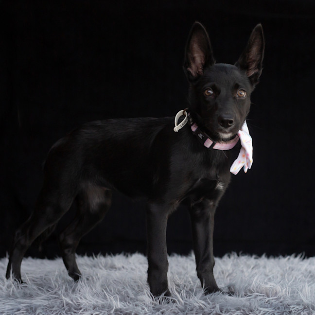 Photo of Nyx