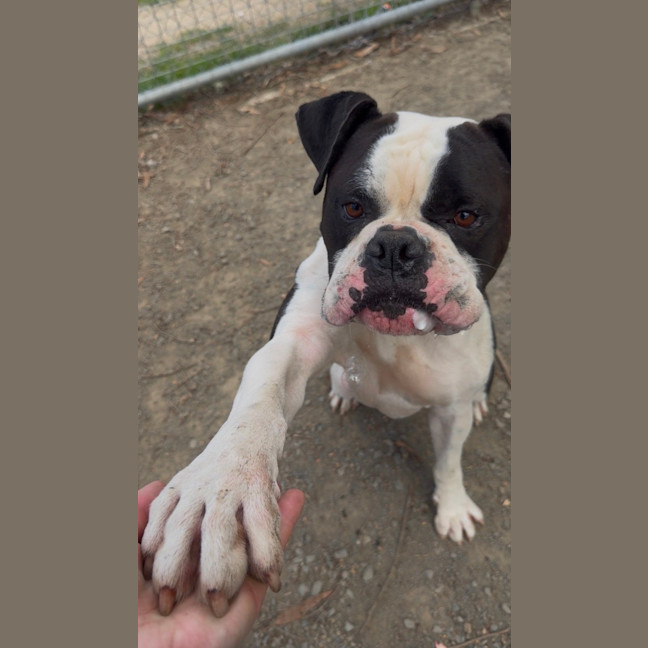 Photo of Gus