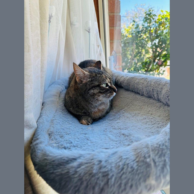 Photo of Aster Uffelman