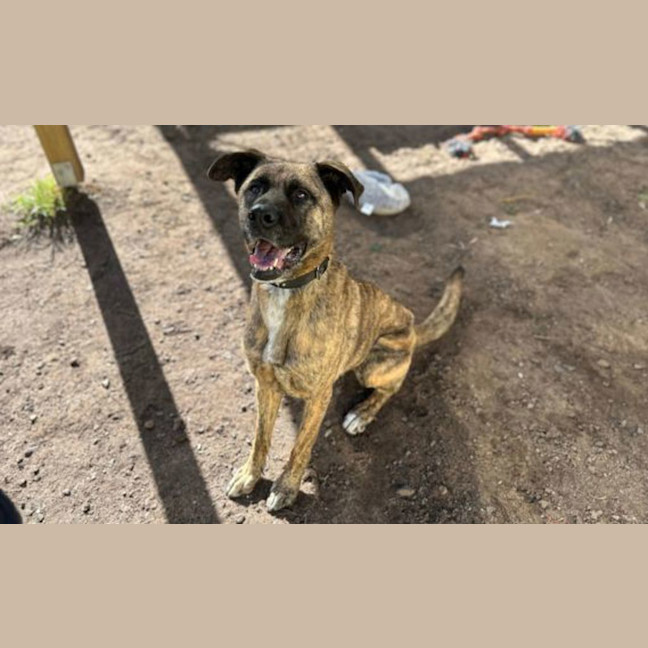 Photo of Sprout