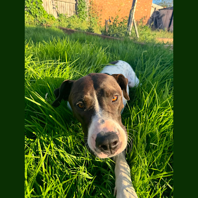 Photo of Bottletop Bill