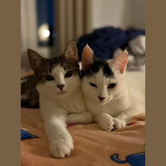 Photo of Penny & Essie 