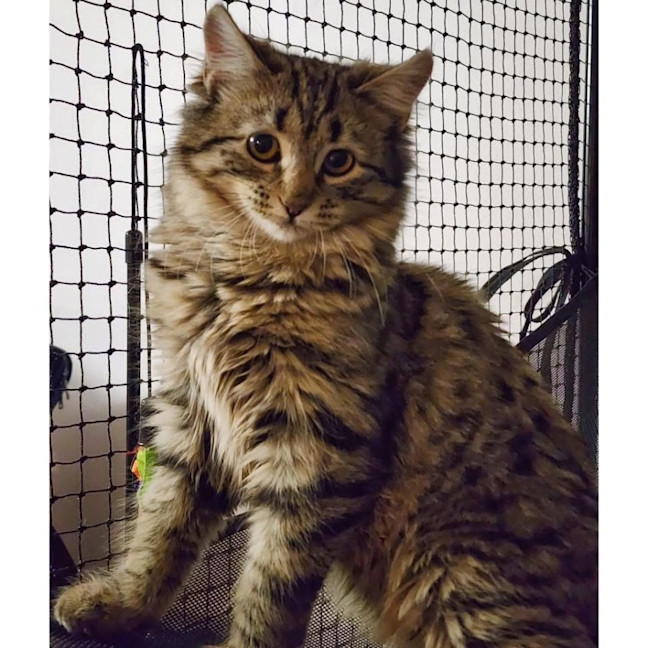 Photo of 12576   Vala