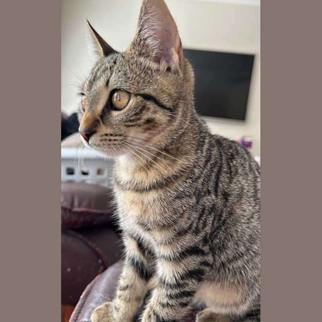 Photo of Tina