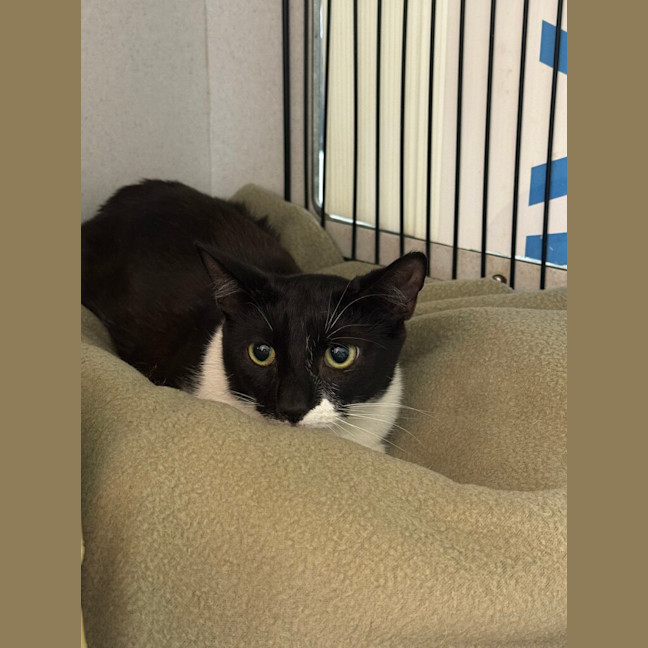 Photo of Dora