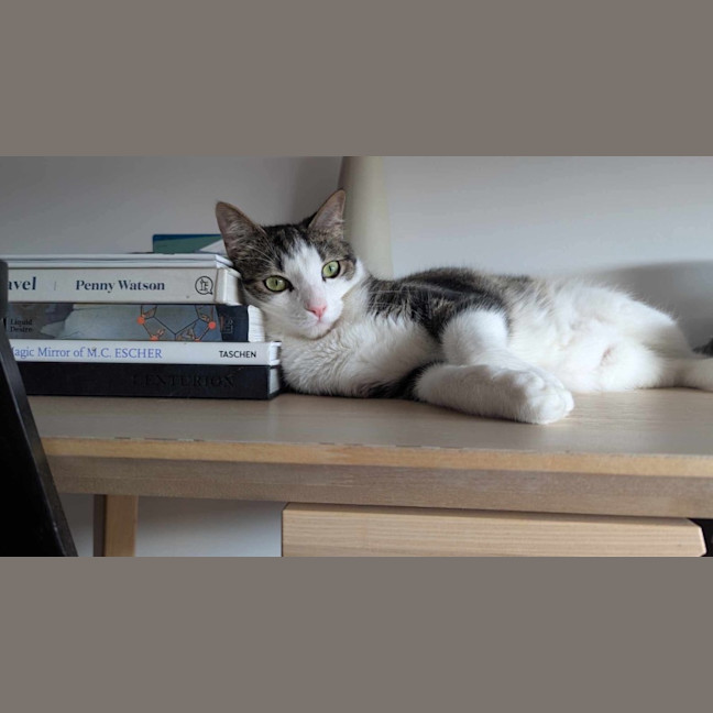 Photo of 🤠 Bandit 🤠