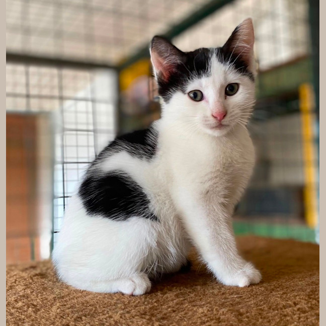 Photo of  Iris & Blossom