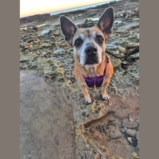 Photo of Winnie