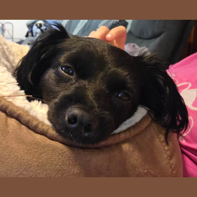 Photo of Roxy