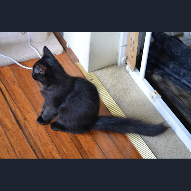 Photo of Sebastian