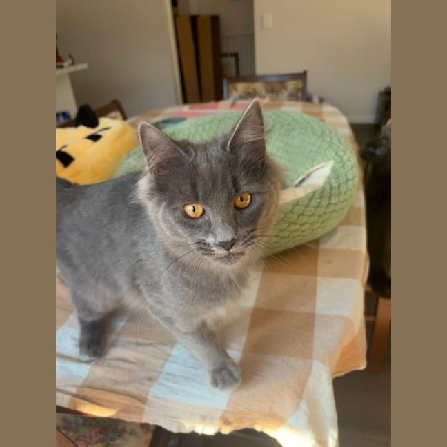 Photo of Peppercorn