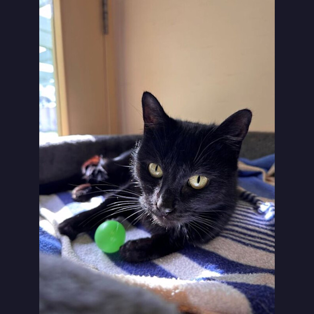Photo of Echo