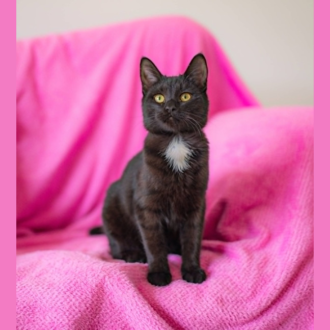 Photo of Star