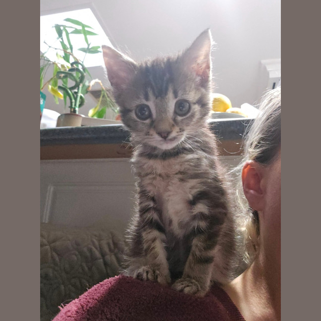 Photo of Spunky Spud