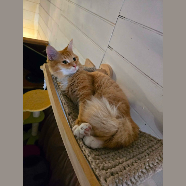 Photo of Faramir