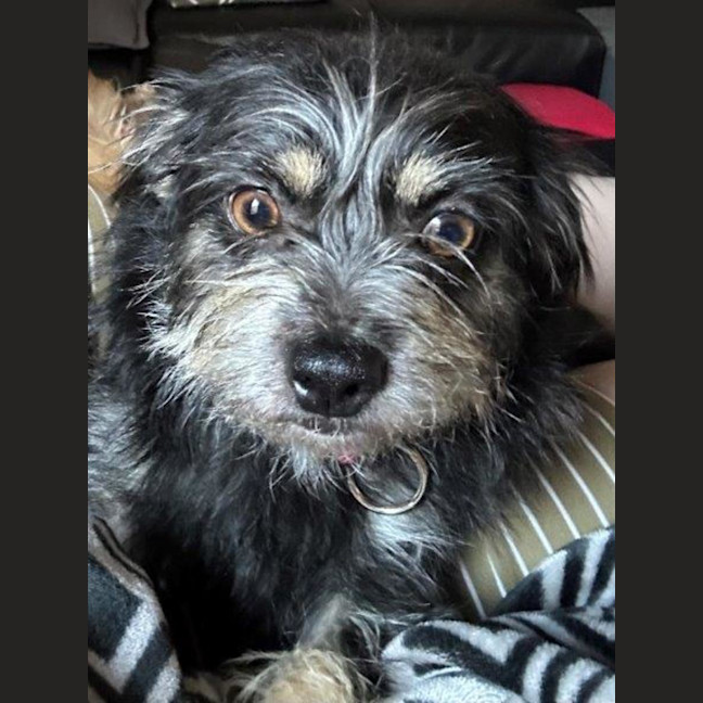 Photo of Jedda O'cleary