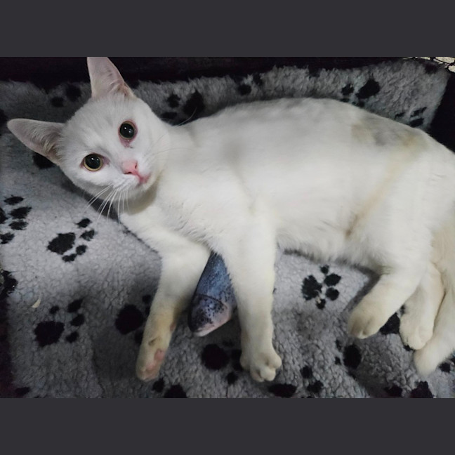 Photo of Rinnie