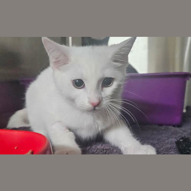 Photo of Cloud