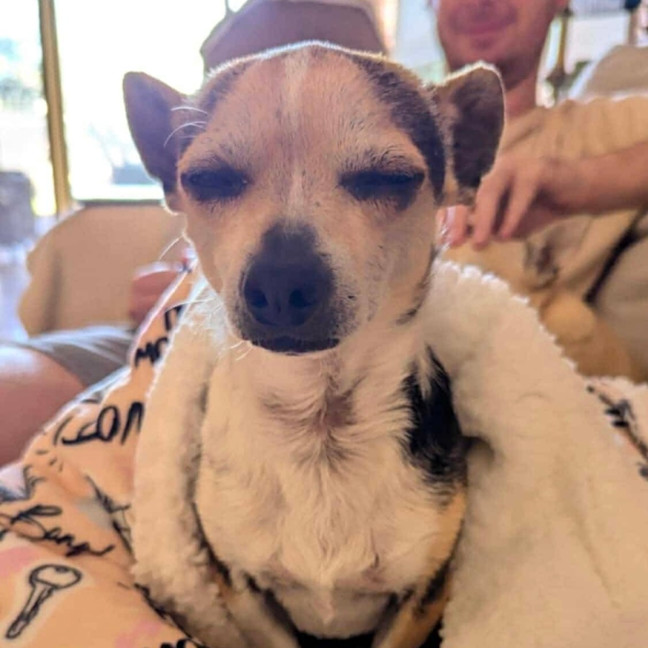 Photo of Little Lucky