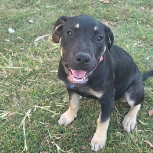 Photo of Cleo