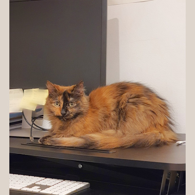 Photo of 🔮Pandora🔮