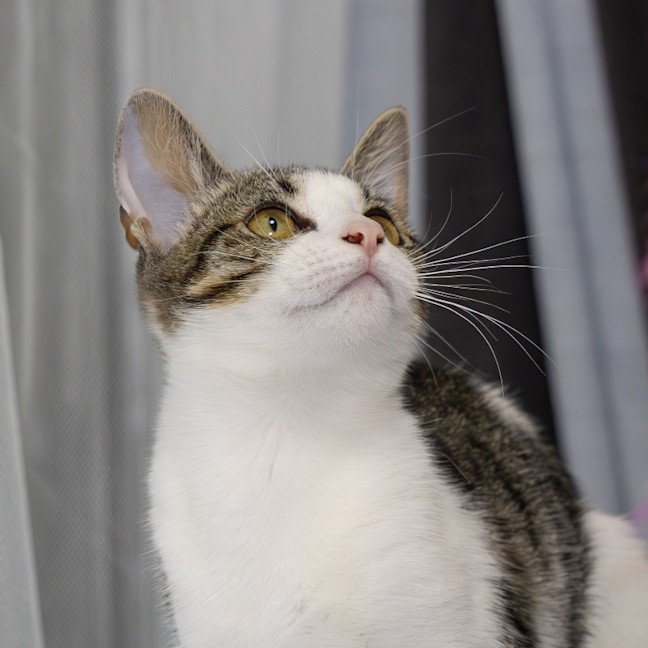 Photo of Macy