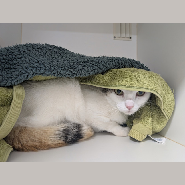 Photo of Thelma