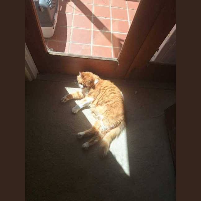 Photo of 😻 Eugene (Gene) 